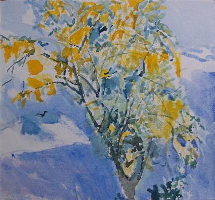 Laburnum 31x28cm